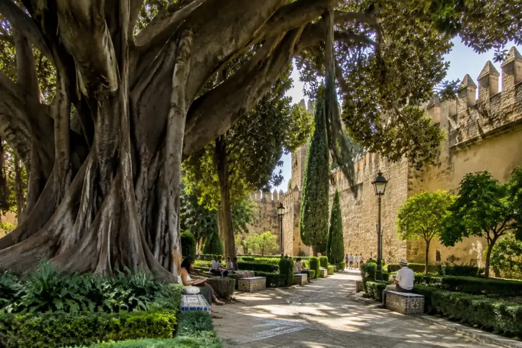Ficus centenarios y bancos a la sombra en los jardines de Murillo, junto a la muralla del Alcázar